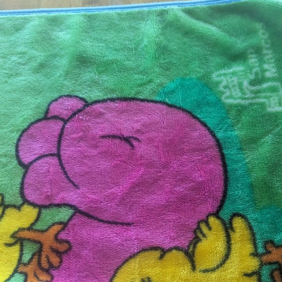 San Marcos Barney Blanket - Picture 4 of 14